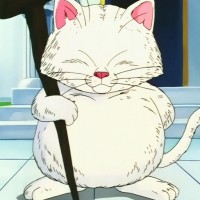 Korin