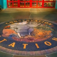 Conservation Station (Disney's Animal Kingdom)