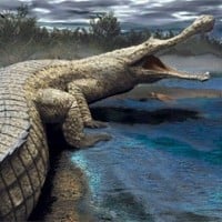 Sarcosuchus