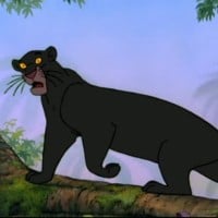 Bagheera