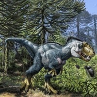 Yutyrannus