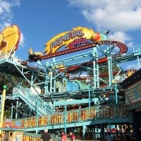 Primeval Whirl (Disney's Animal Kingdom)