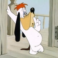Droopy (Droopy)