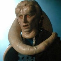 Bib Fortuna