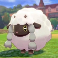 Wooloo