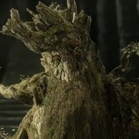 Treebeard