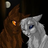 Tigerheart x Dovewing