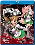Highschool of Dead