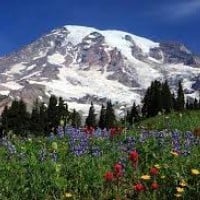 Mount Rainier National Park (Washington)