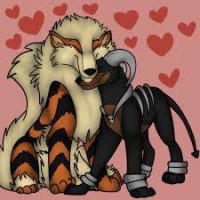 Arcanine & Houndoom