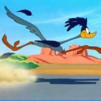 Road Runner