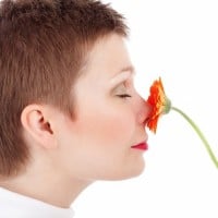 He who smelt it, dealt it