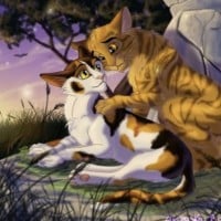 Brackenfur & Sorreltail