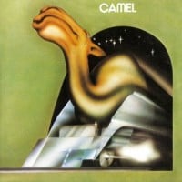 Camel