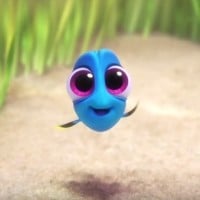 Baby Dory