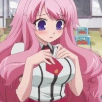 Mizuki Himeji - Baka and Test