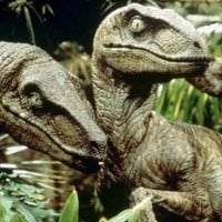 Velociraptor - Jurassic Park
