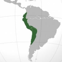 Inca Empire