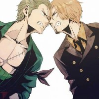 Roronoa Zoro vs Sanji - One Piece