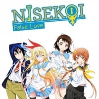 Nisekoi Fanbase
