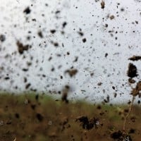 You get treated like dirt