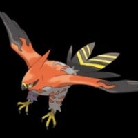 Talonflame