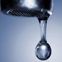 Our Brains Are Made of Water