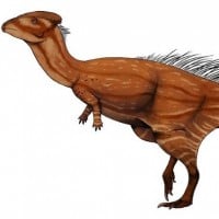 Wannanosaurus