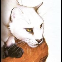 Blackstar (ShadowClan)