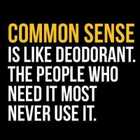 Common Sense
