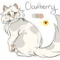 Cloudberry