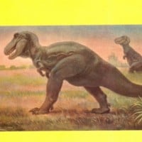 Bipedal Dinosaurs - Pre-1970s
