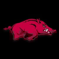Arkansas Razorbacks - 1994