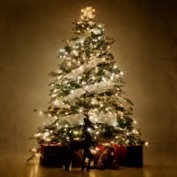 Decorating with white lights and minimal colour