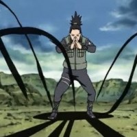 Shadow Possession Jutsu