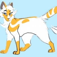 Light that Shines Upon