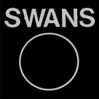 Swans