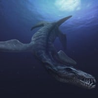 Liopleurodon
