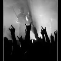 Metal is more fun, exciting, and complex