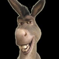 Donkey (African American) - Shrek