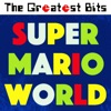 Castle Theme - Super Mario World