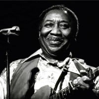 Muddy Waters