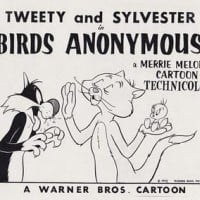 Birds Anonymous