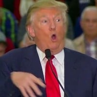 He made fun of a disabled person