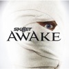 Awake and Alive - Skillet