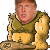 Donald Troll