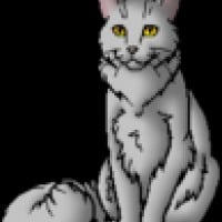 Hailstar (RiverClan)
