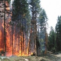 It could be much worse