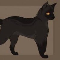 Give him/her a name that matches their personality and physical look