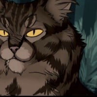 Raggedstar (ShadowClan)